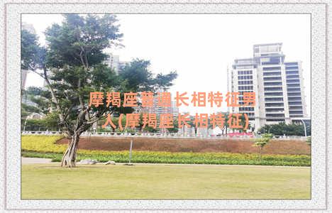 摩羯座普通长相特征男人(摩羯座长相特征)