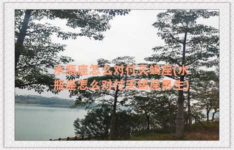水瓶座怎么对付天蝎座(水瓶座怎么对付天蝎座男生)