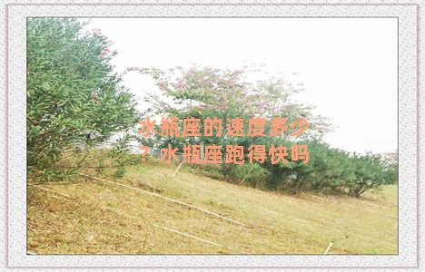 水瓶座的速度多少？水瓶座跑得快吗