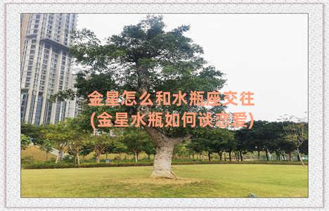 金星怎么和水瓶座交往(金星水瓶如何谈恋爱)
